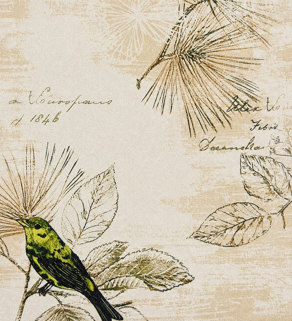 Vintage Botanical Bird Print - 809