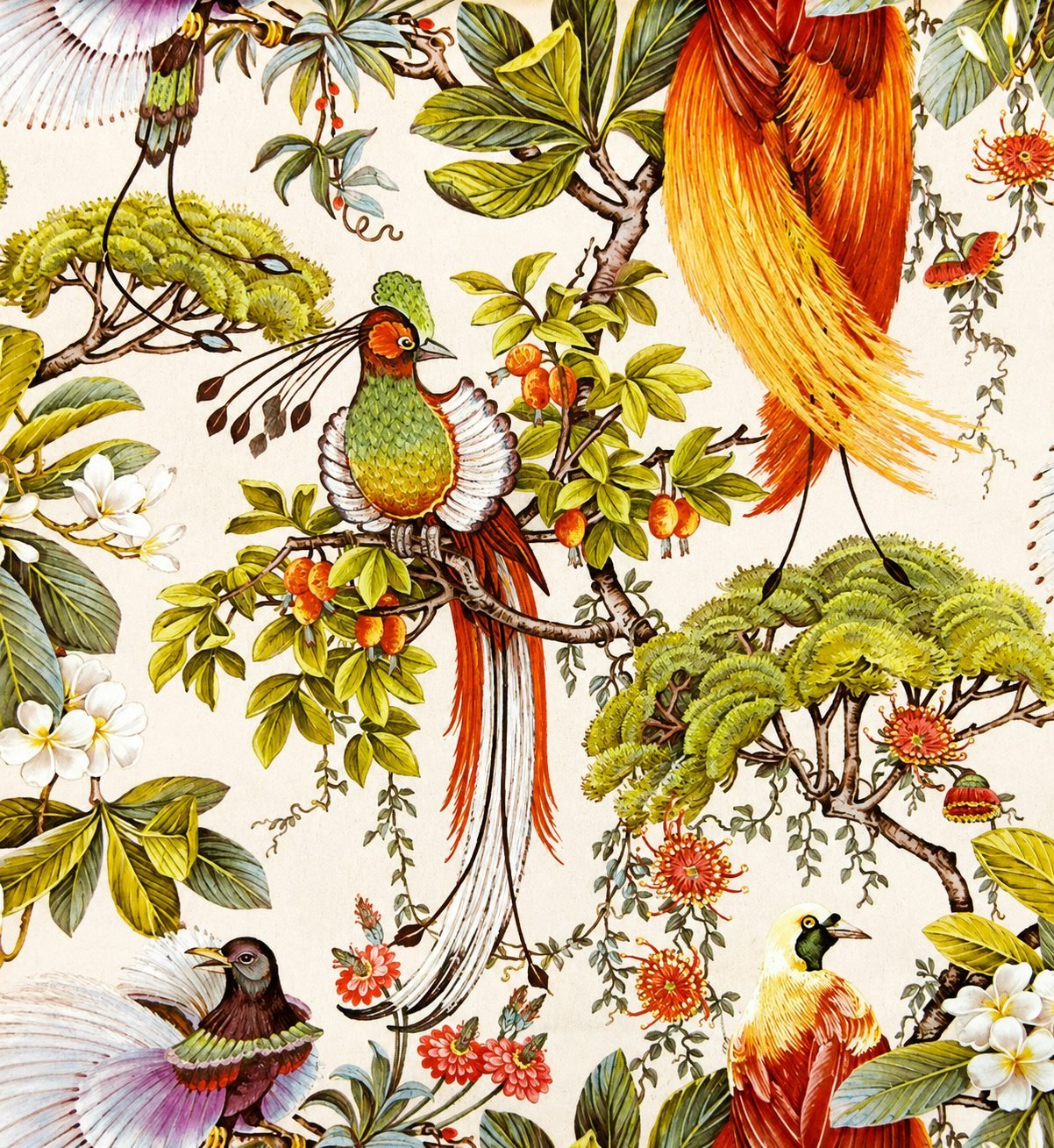 Exotic Birds & Blossom Print - 828