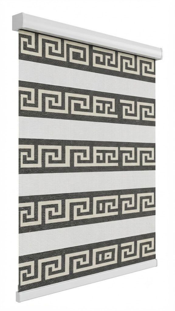 Zebra blinds 12
